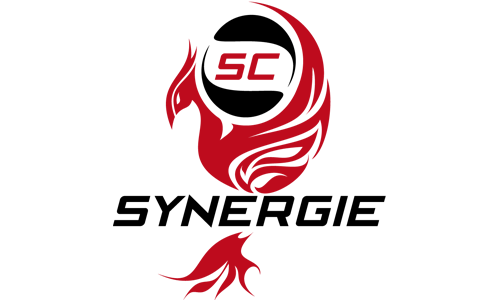 logo sc synergie